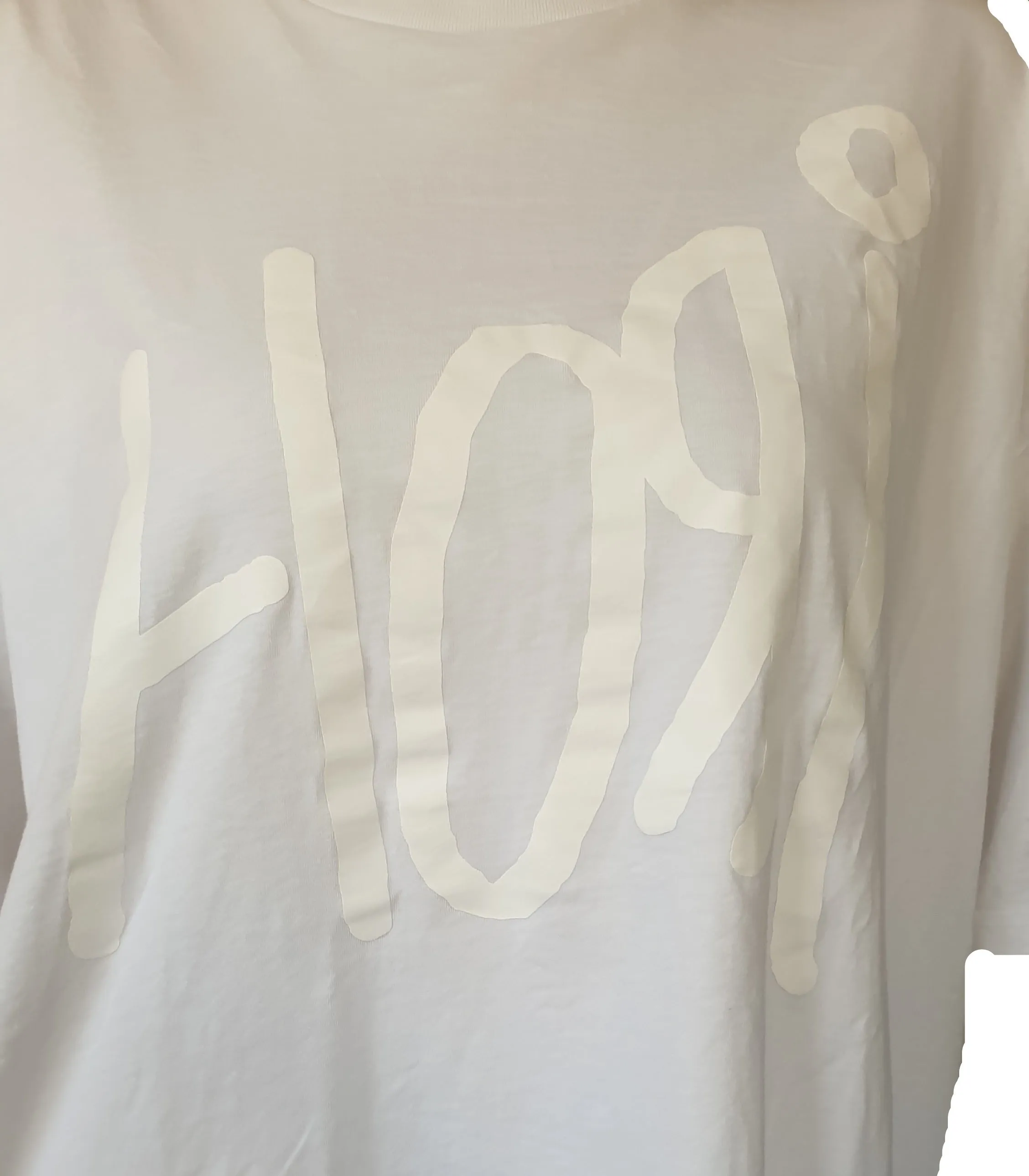 Hori NZ Logo White T-Shirt (2XL)